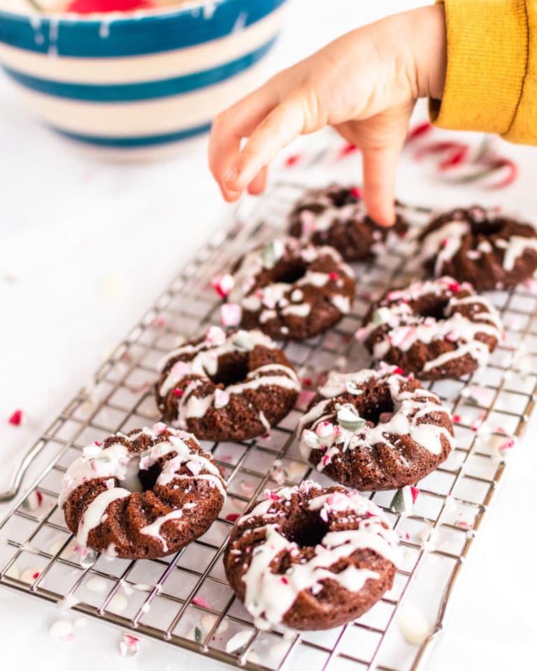 Baked Chocolate Donuts